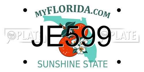 JE599 Florida License Plate