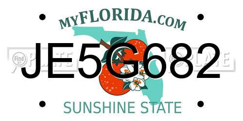 JE5G682 Florida License Plate