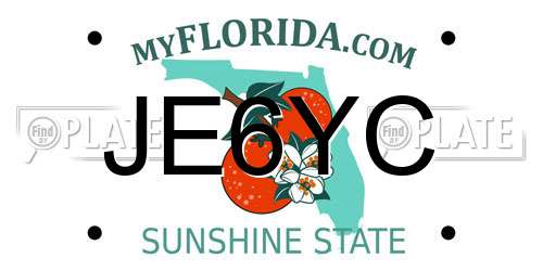 JE6YC Florida License Plate