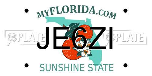 JE6ZI Florida License Plate