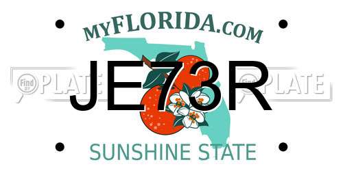 JE73R Florida License Plate