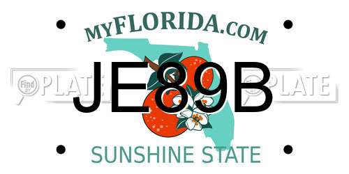 JE89B Florida License Plate