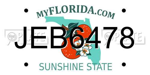 JEB6478 Florida License Plate