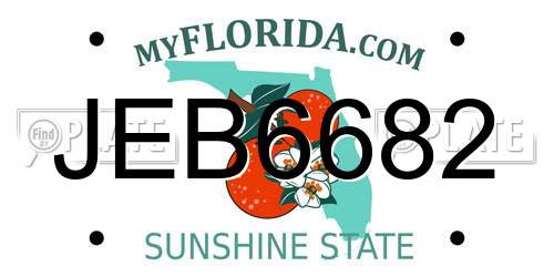 JEB6682 Florida License Plate