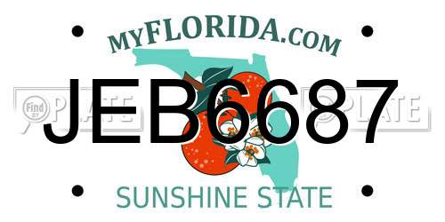 JEB6687 Florida License Plate