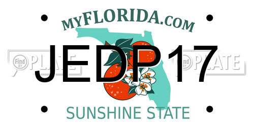 JEDP17 Florida License Plate