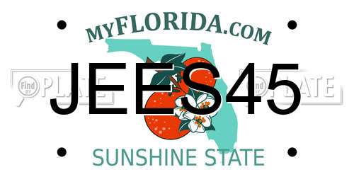 JEES45 Florida License Plate