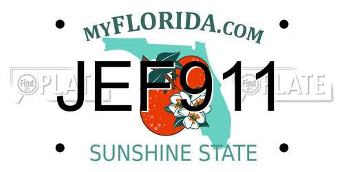 JEF911 Florida License Plate