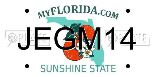 JEGM14 Florida License Plate