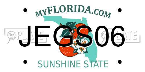 JEGS06 Florida License Plate