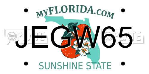 JEGW65 Florida License Plate