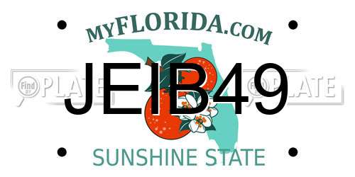 JEIB49 Florida License Plate