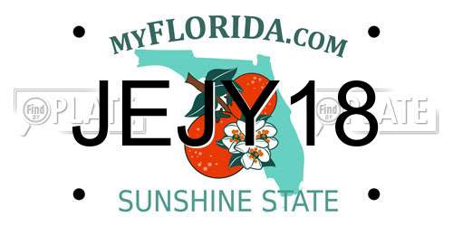 JEJY18 Florida License Plate