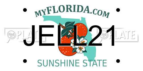 JELL21 Florida License Plate