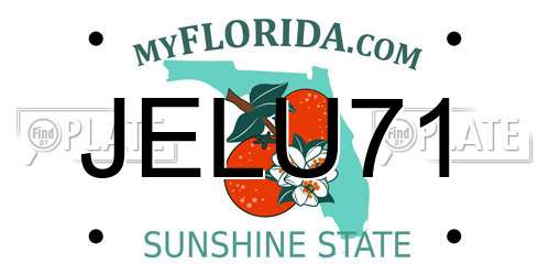 JELU71 Florida License Plate