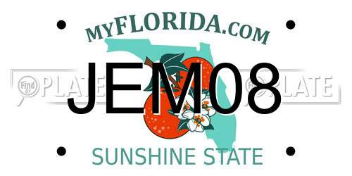 JEM08 Florida License Plate