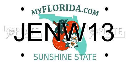 JENW13 Florida License Plate