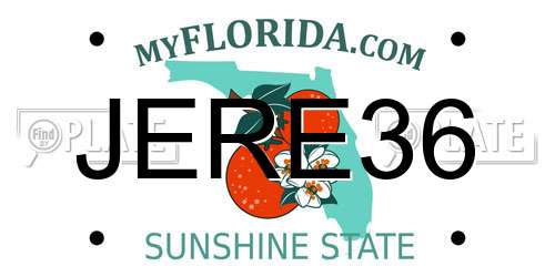 JERE36 Florida License Plate