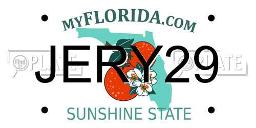 JERY29 Florida License Plate