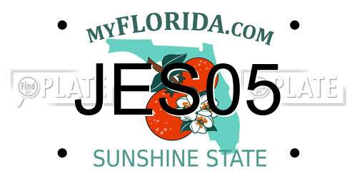 JES05 Florida License Plate