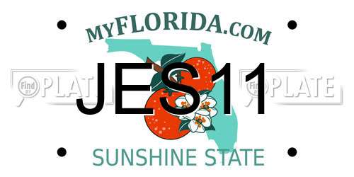 JES11 Florida License Plate