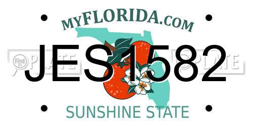 JES1582 Florida License Plate