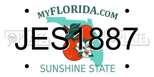 JES1887 Florida License Plate