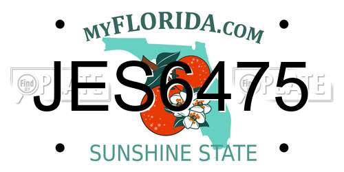 JES6475 Florida License Plate