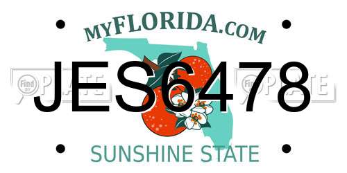 JES6478 Florida License Plate