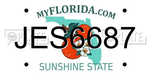 JES6687 Florida License Plate