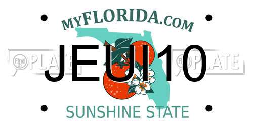 JEUI10 Florida License Plate