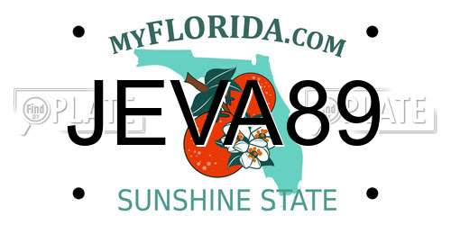 JEVA89 Florida License Plate