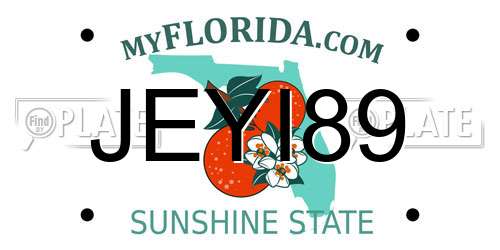 JEYI89 Florida License Plate