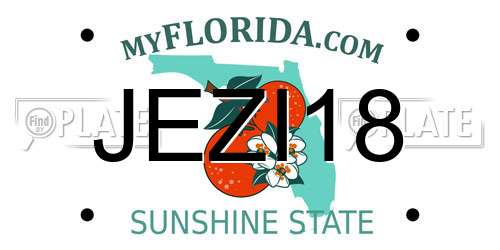 JEZI18 Florida License Plate