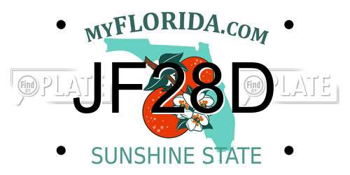 JF28D Florida License Plate