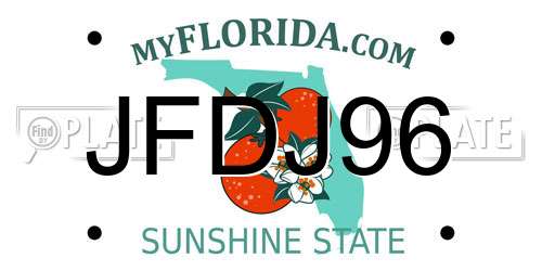 JFDJ96 Florida License Plate