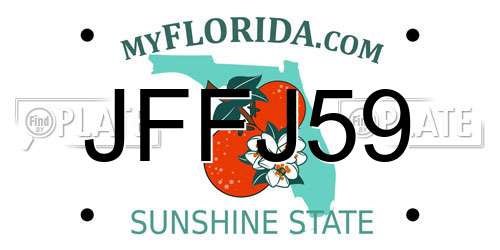 JFFJ59 Florida License Plate