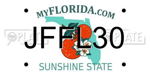 JFFL30 Florida License Plate