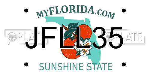 JFLL35 Florida License Plate