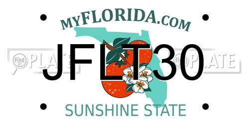 JFLT30 Florida License Plate