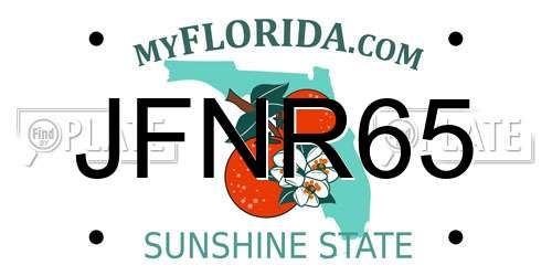 JFNR65 Florida License Plate