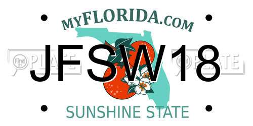 JFSW18 Florida License Plate