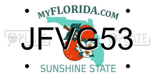 JFVG53 Florida License Plate