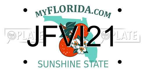 JFVI21 Florida License Plate