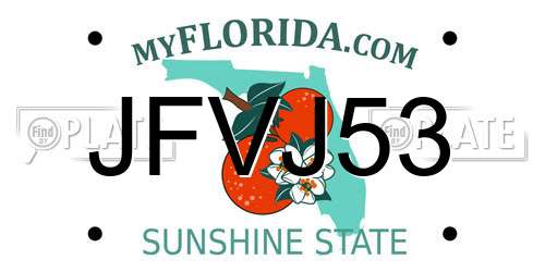 JFVJ53 Florida License Plate