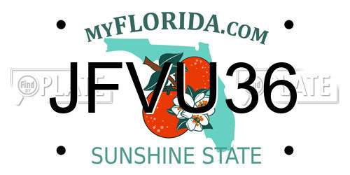JFVU36 Florida License Plate