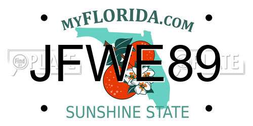 JFWE89 Florida License Plate