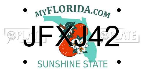 JFXJ42 Florida License Plate