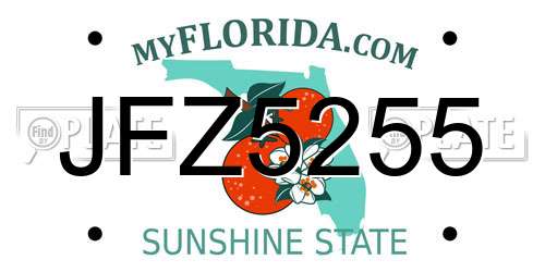 JFZ5255 Florida License Plate