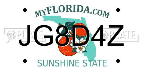 JG8D4Z Florida License Plate